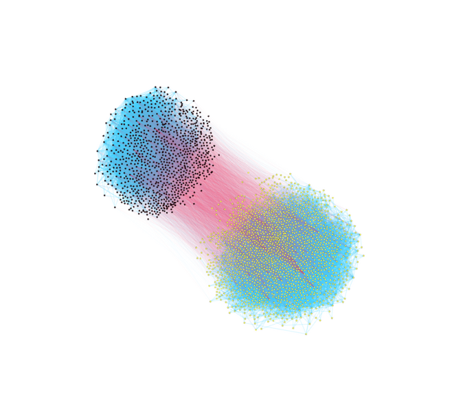 Signed Networks and Polarization